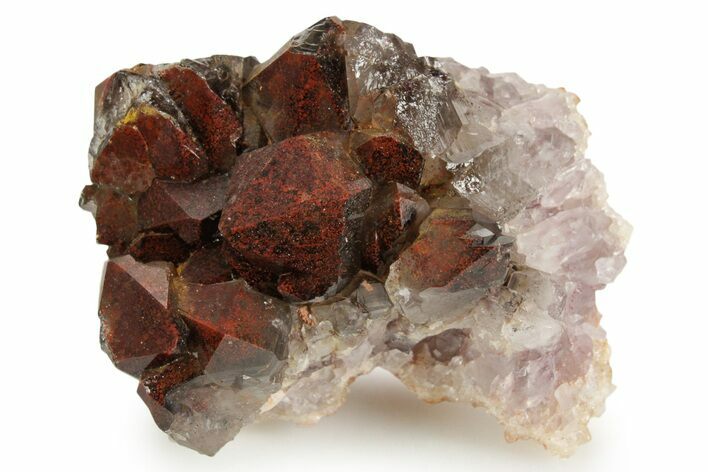 Thunder Bay Smoky Amethyst Cluster with Hematite - Canada #349926